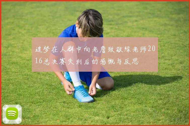 追梦在人群中向老詹致敬绿老师2016总决赛失利后的感慨与反思