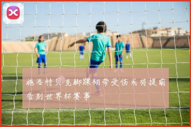 施洛特贝克脚踝韧带受伤或将提前告别世界杯赛事